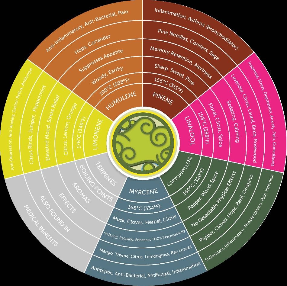 TerpeneWheel.jpg