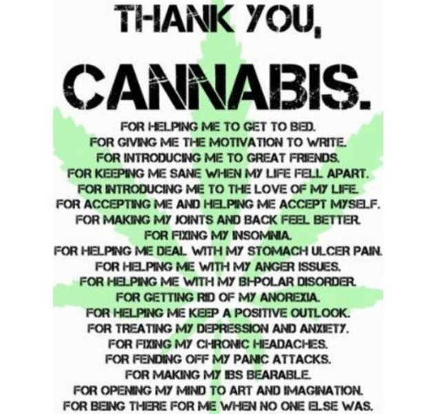 Thank You Cannabis