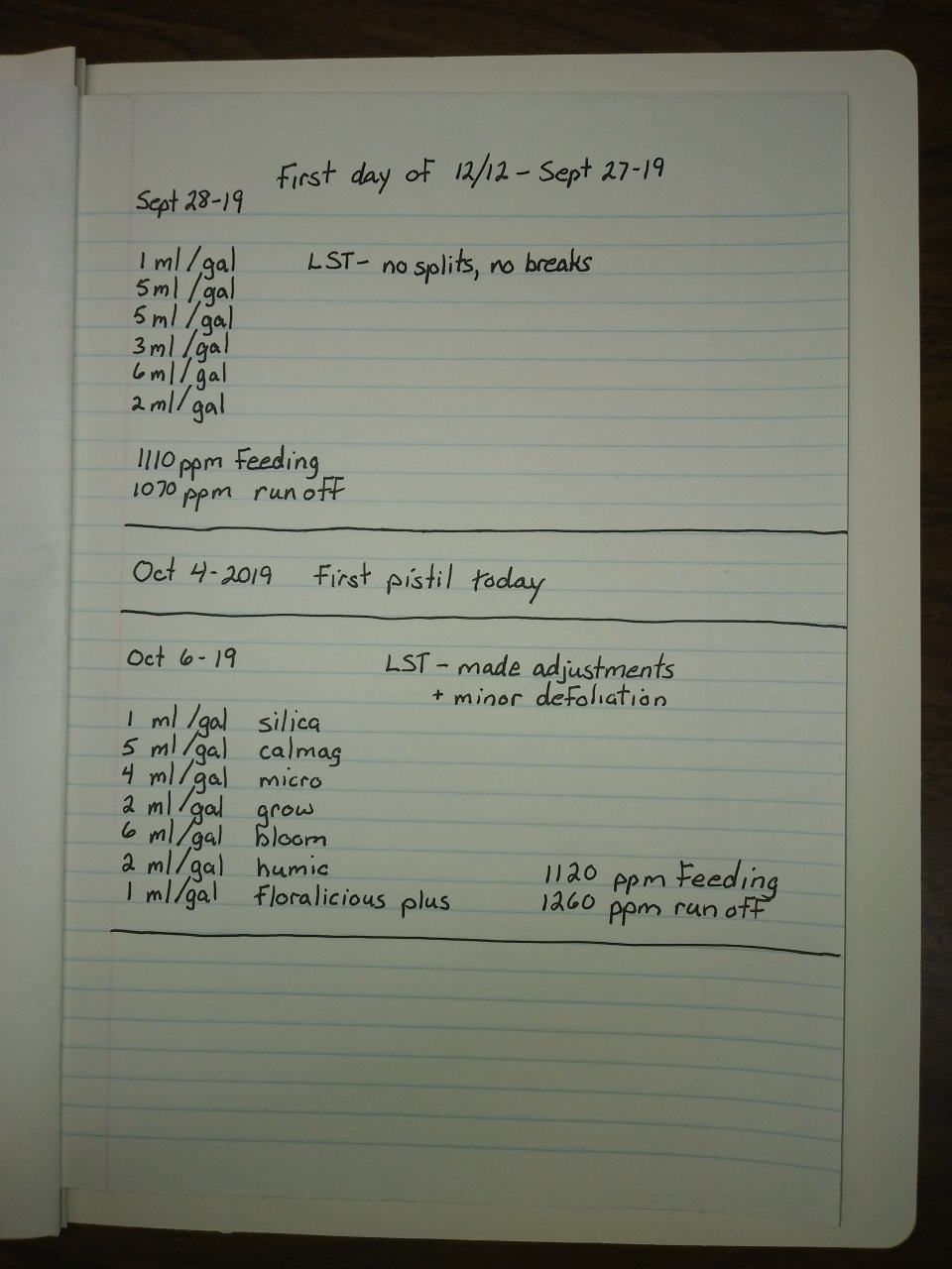 THC Bomb log 2.jpg