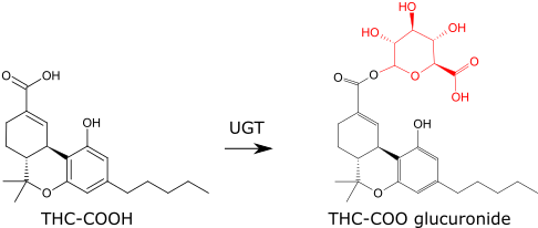 THC-COOH-to-glucuronide.png