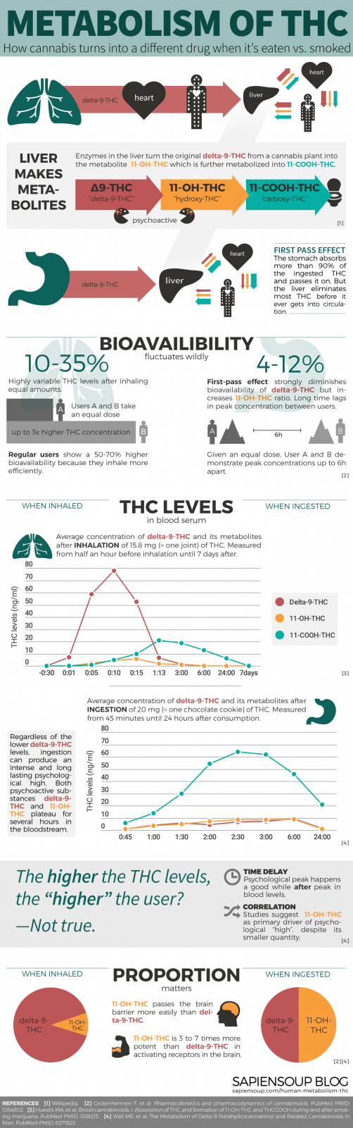 THC-Infographic-Human-Metabolism.png