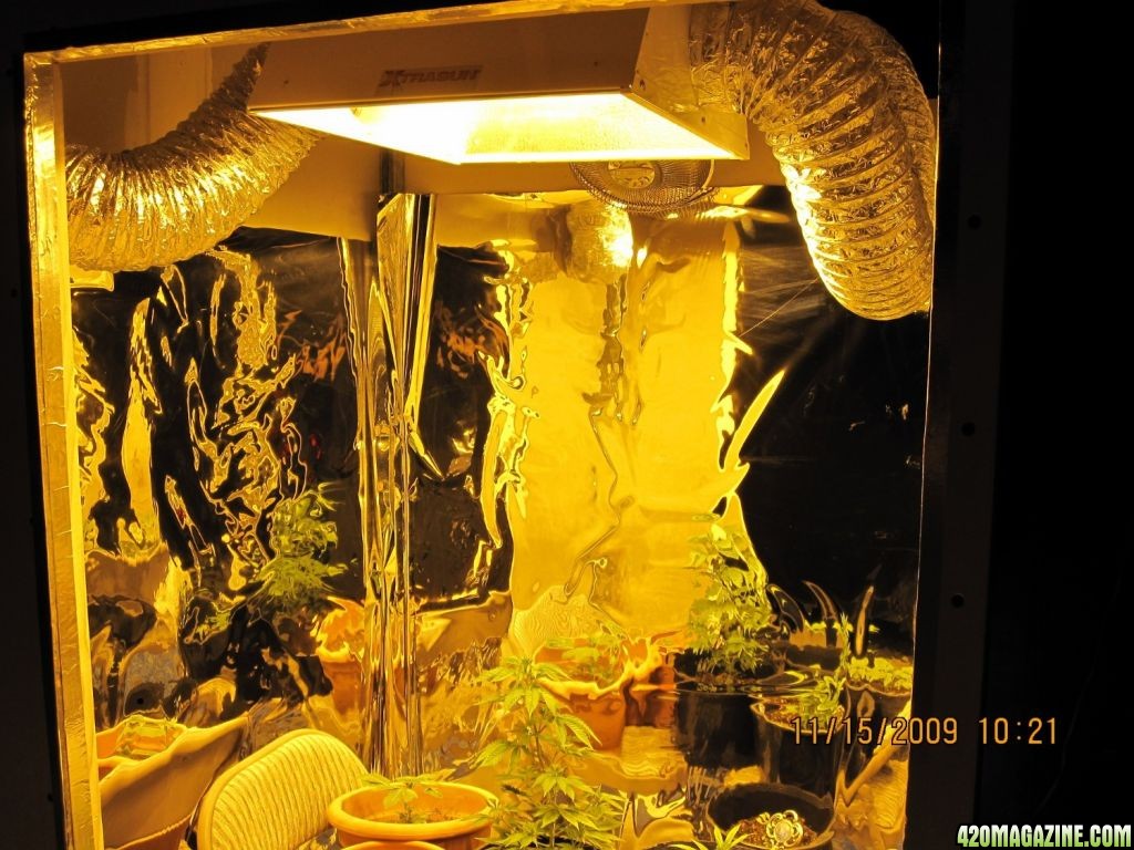 The 4x4 grow room