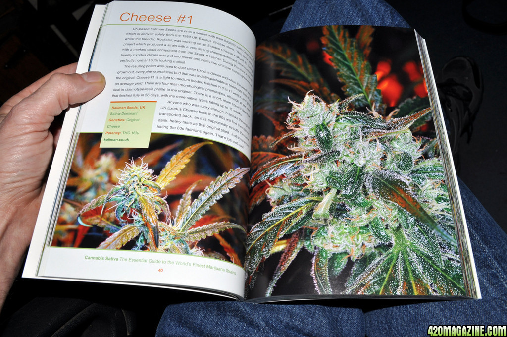 The Essential Guide to the Worlds Finest Sativa Strains