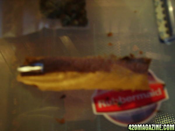 The Start of the Blunt