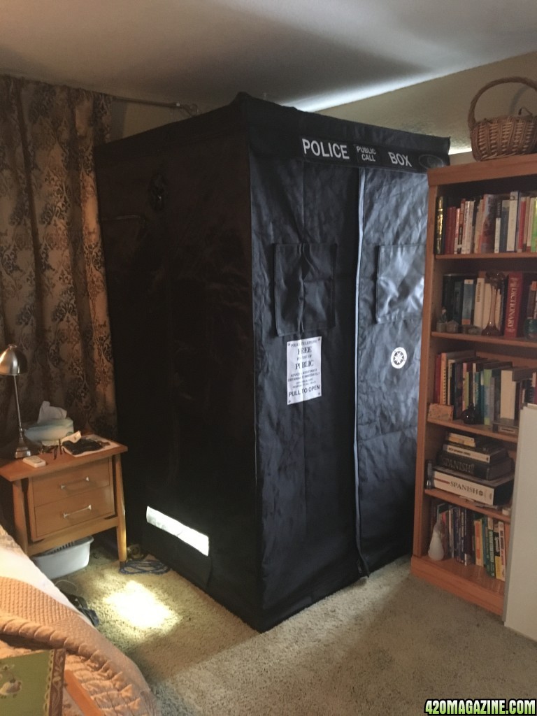 THE TARDIS