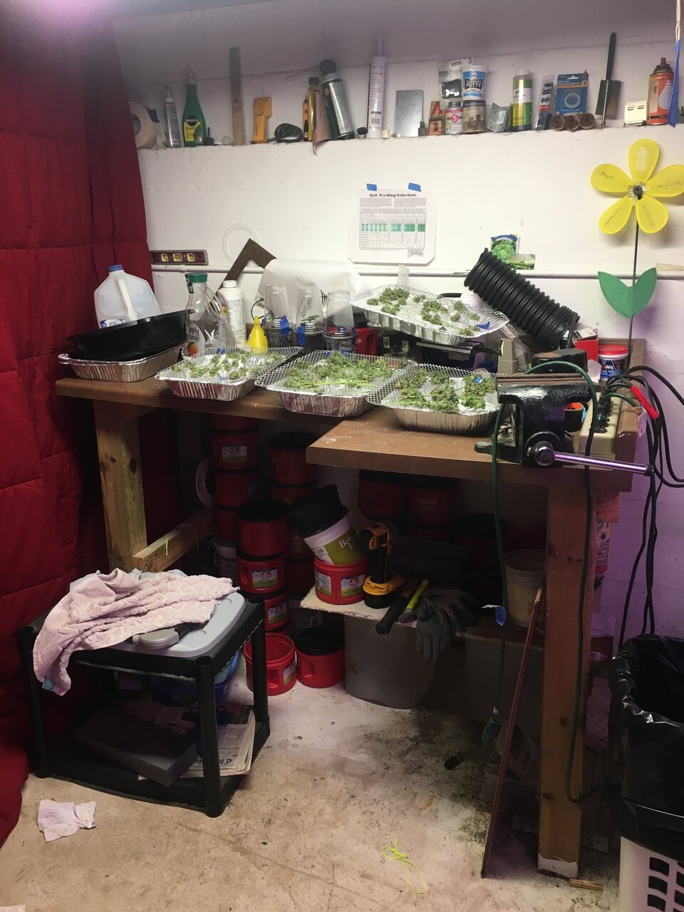 The Workbench