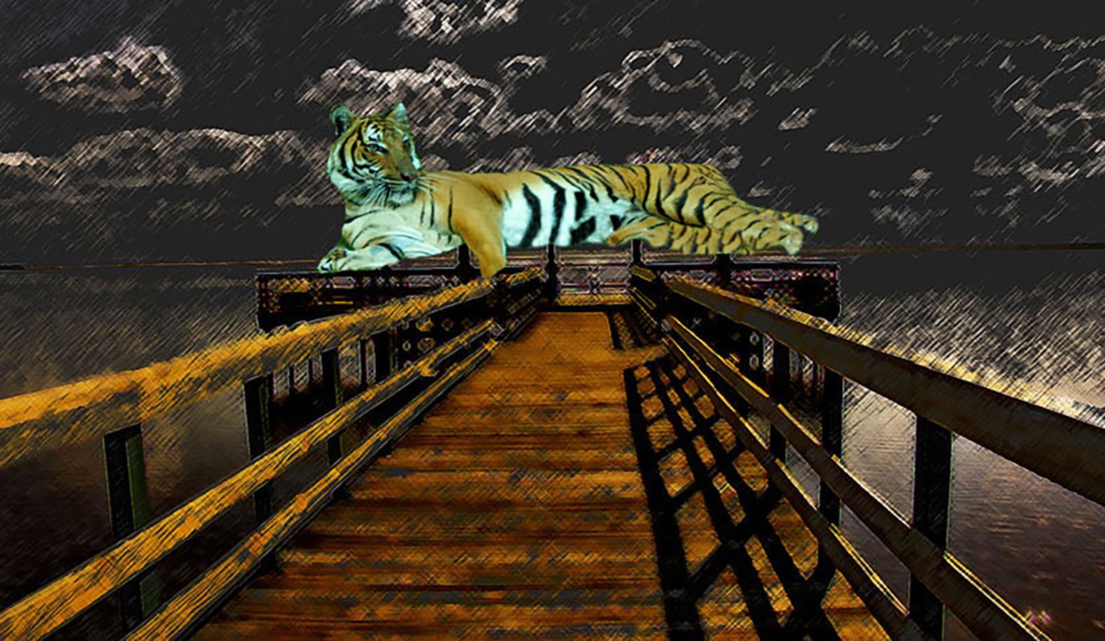 TIGERDOCK.jpg