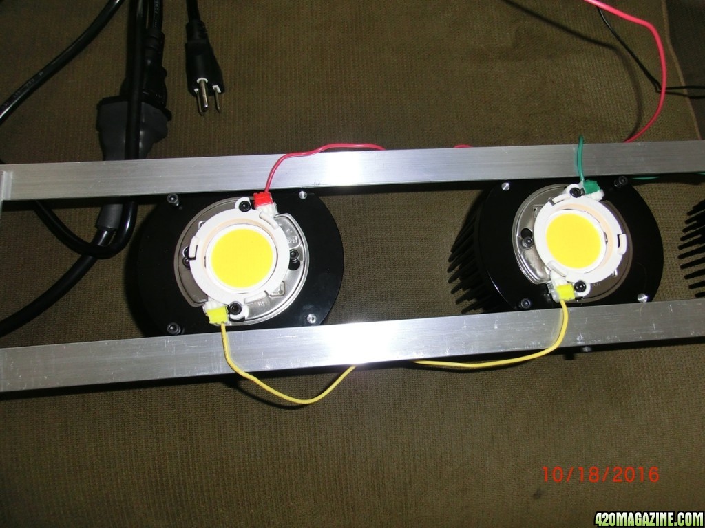 Timber 200 Watt Cree CXB3590 Kit DIY