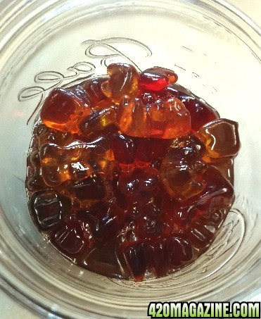 tincture_teddies_5