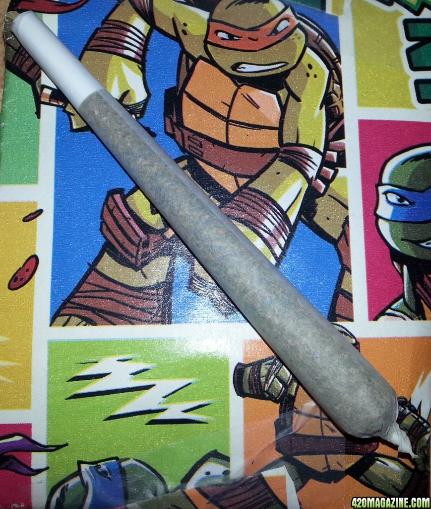 TMNT