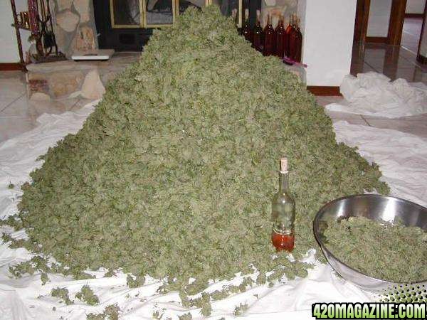 Ton of Bud