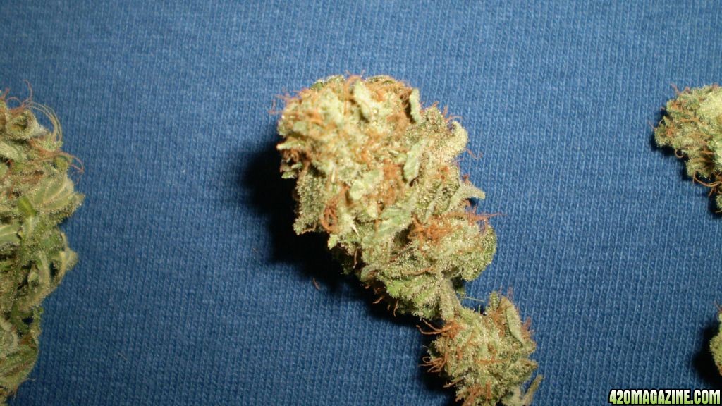 TRAINWRECK       4/2010