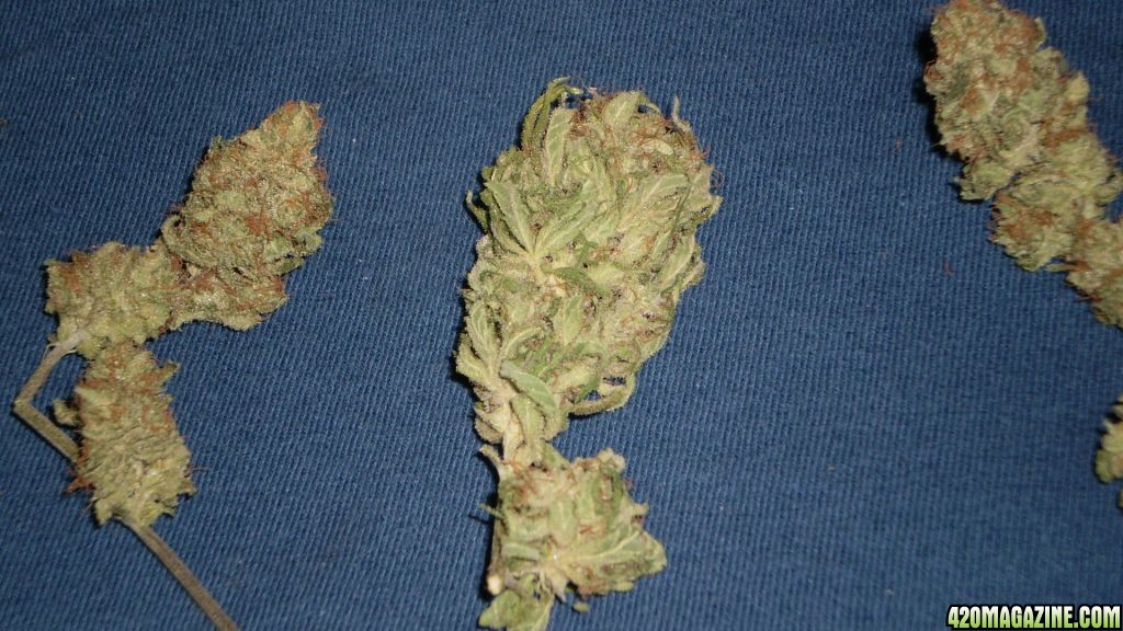 TRAINWRECK       4/2010