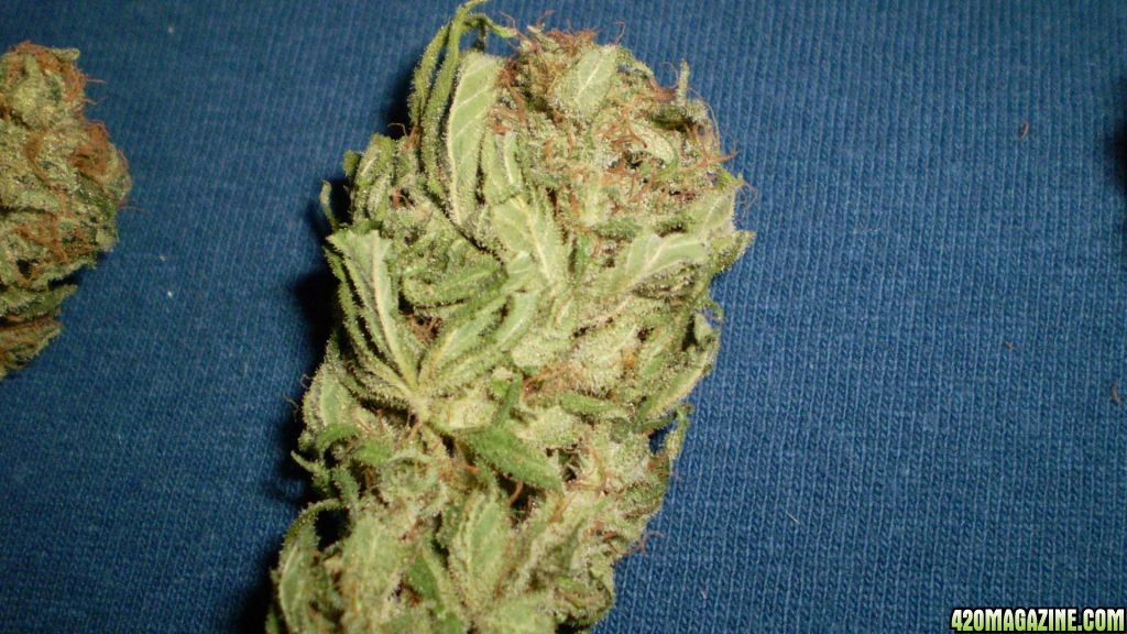 TRAINWRECK       4/2010