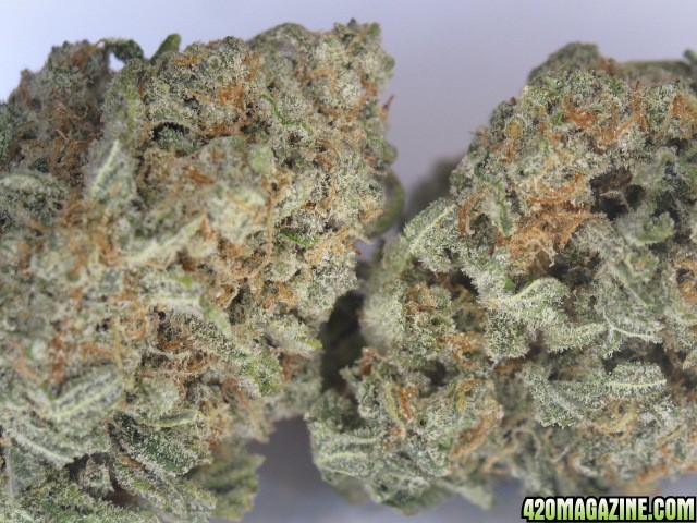 Trainwreck