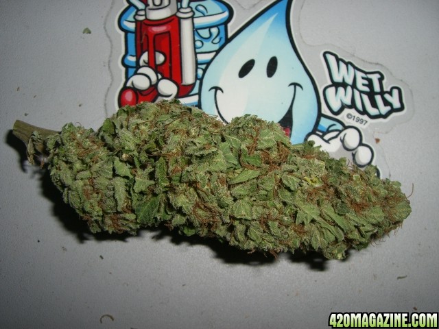 Trainwreck