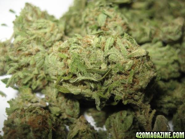 Trainwreck