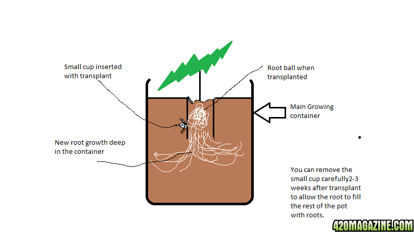 Transplant Idea