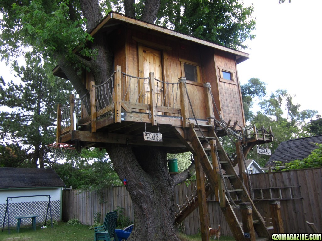 treehouse_0031