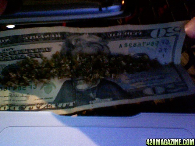 trees + 20bill