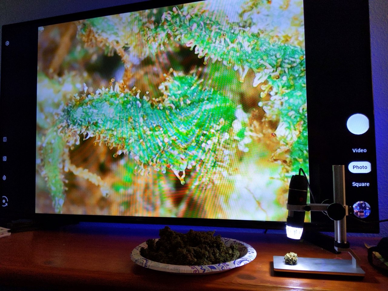 Trichs on the big screen