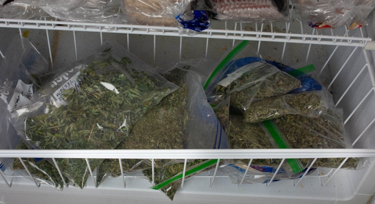 Trim popcorn bud freezer stash-1.jpg