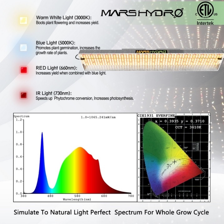 TSL_2000_spectrum.jpg