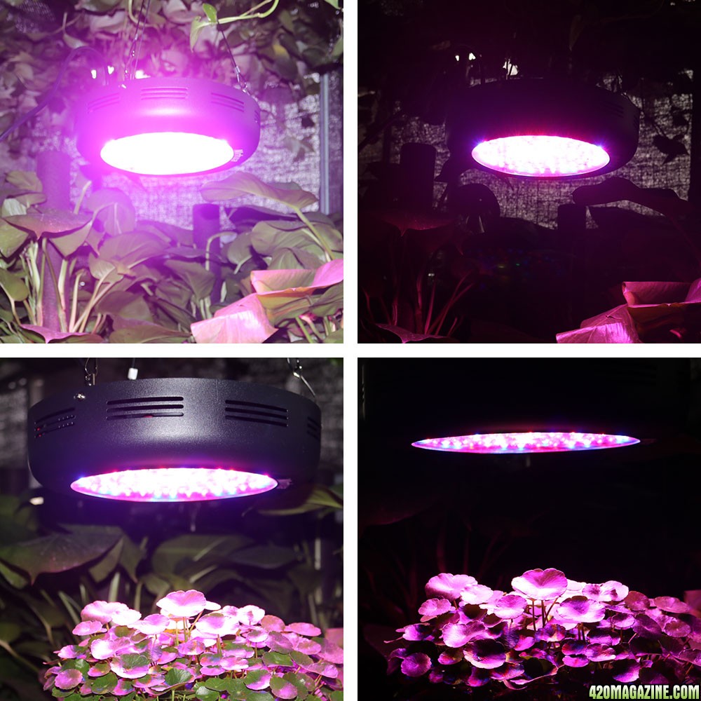 UFO 300W LED  grow light ,Mrhua  on Amazon store