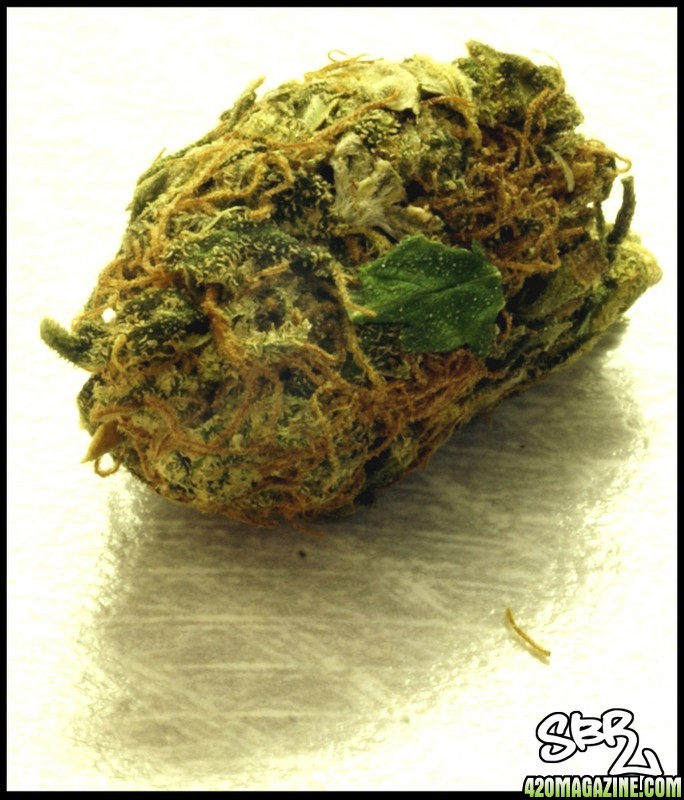 Unknown Chronic