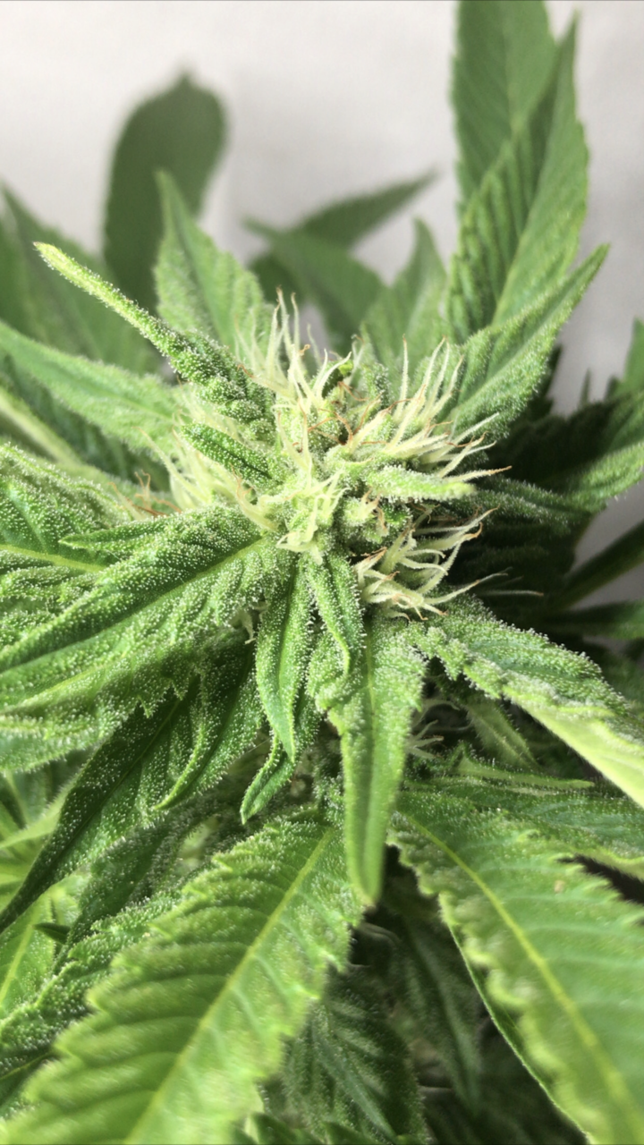 Unknown/day19. Outdoor