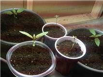 UPdate day 10