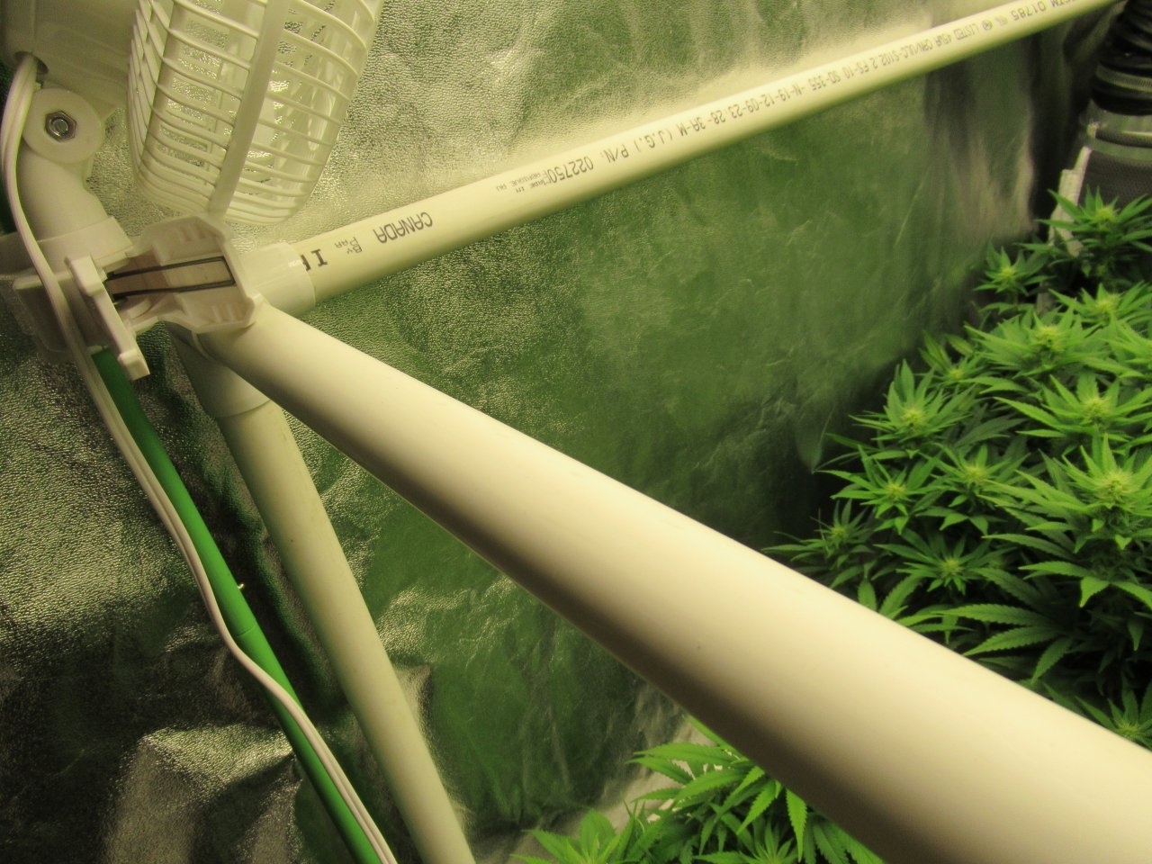 Upper Scrog Frame