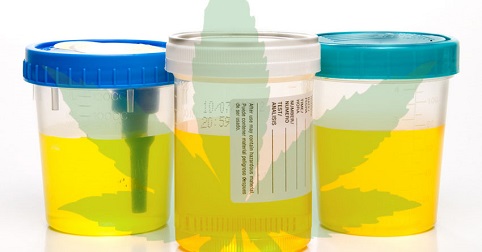 urine test