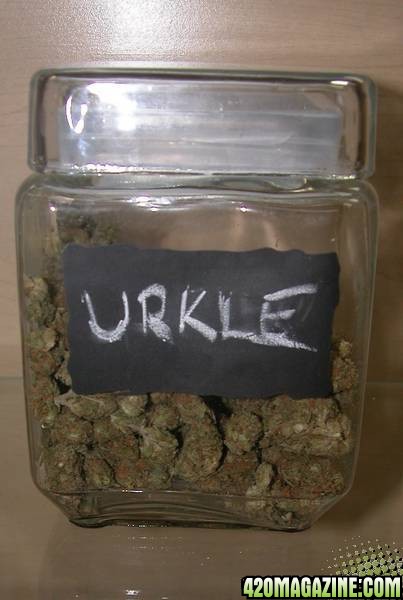 Urkle