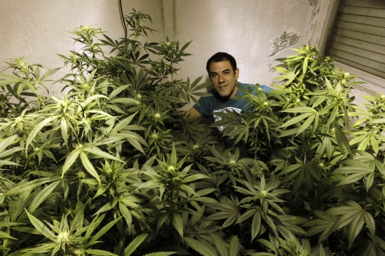 uruguay grower