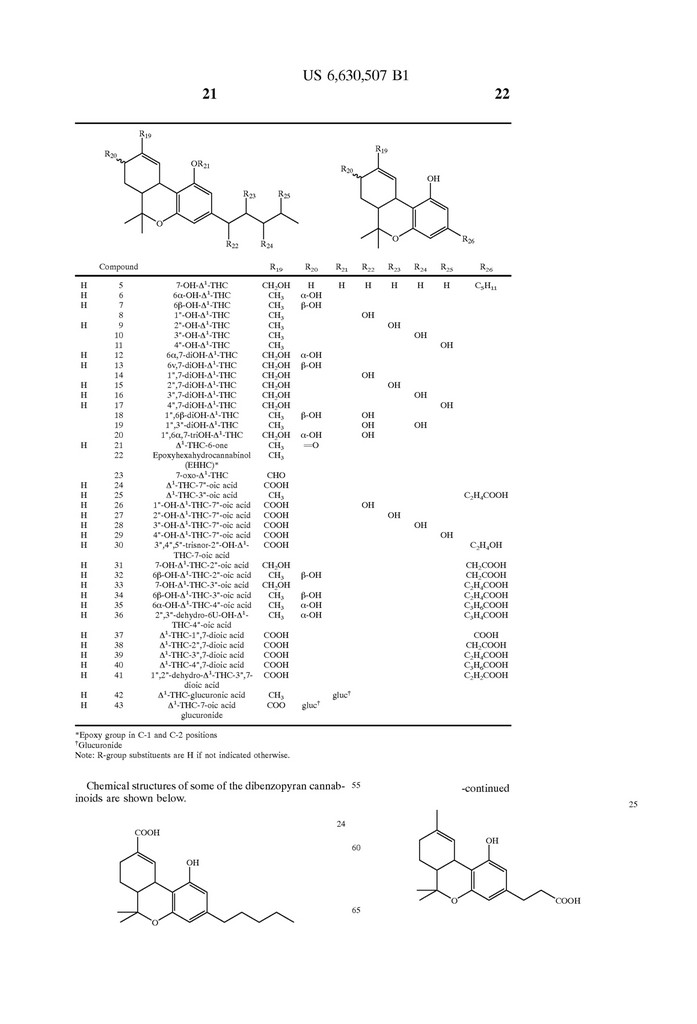 US-patent-6630507-20