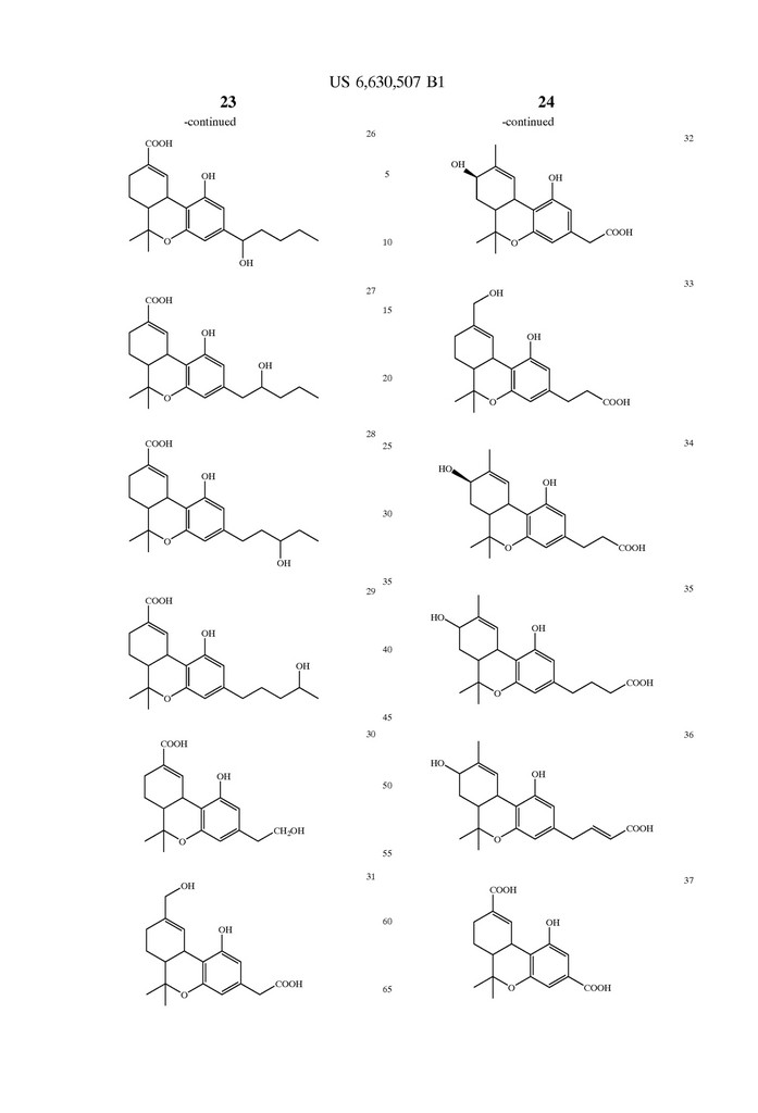 US-patent-6630507-21