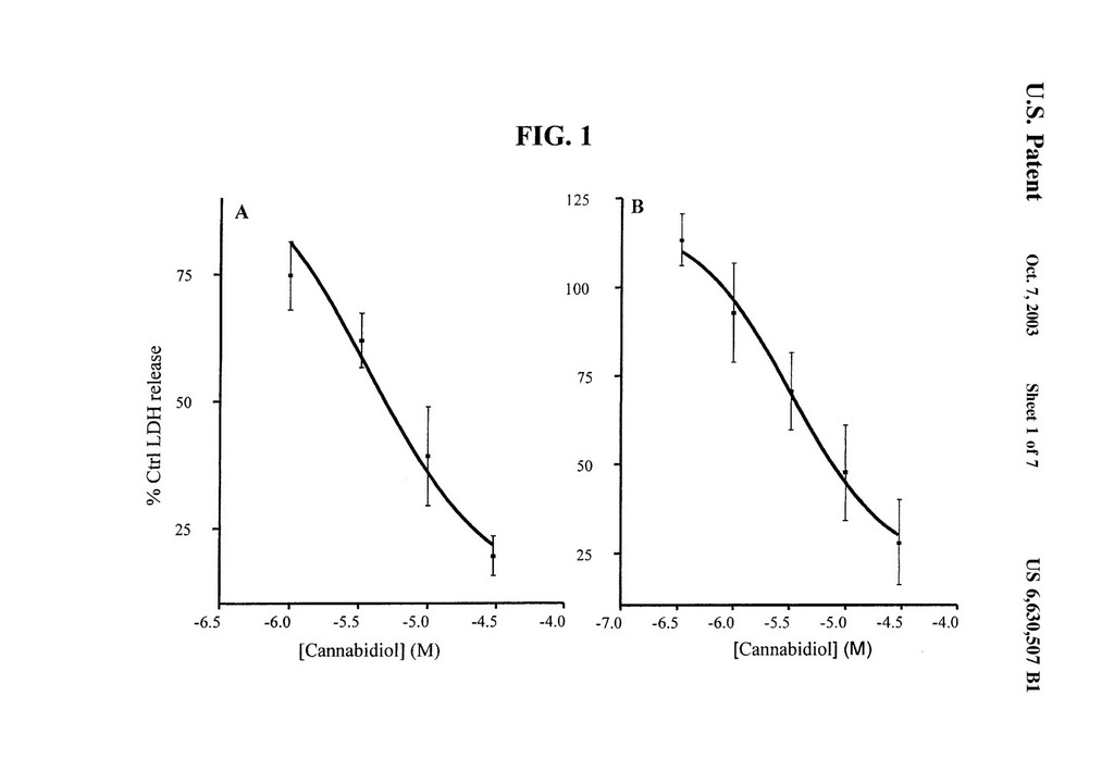 US-patent-6630507-31