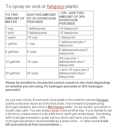 Using peroxide pg 2