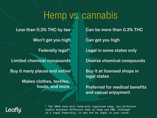 V5_Hemp-vs.-cannabis-Inline-1800-x-1350-Option-1-1024x768.jpg