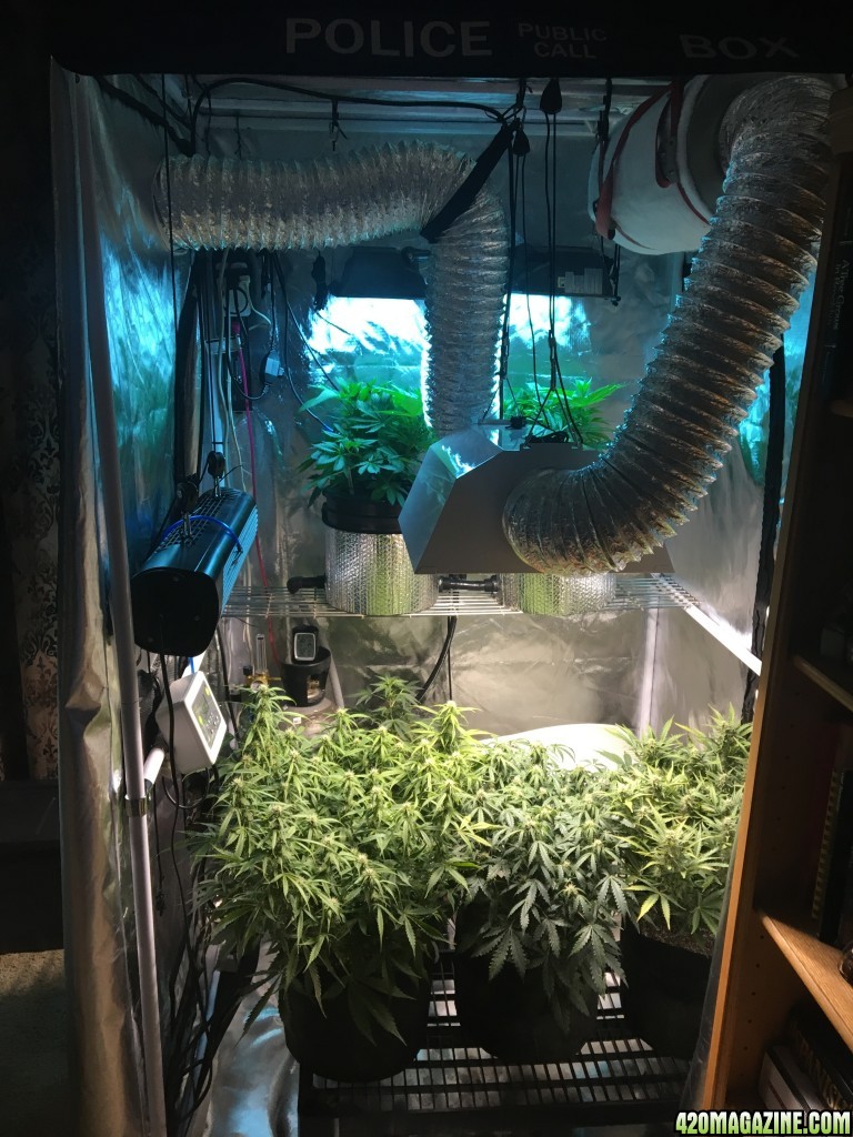 Various grow stuff