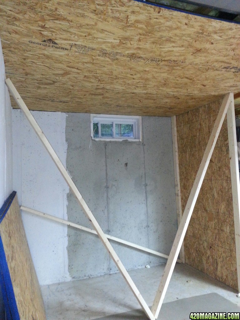 veg room - ceiling and half of one wall