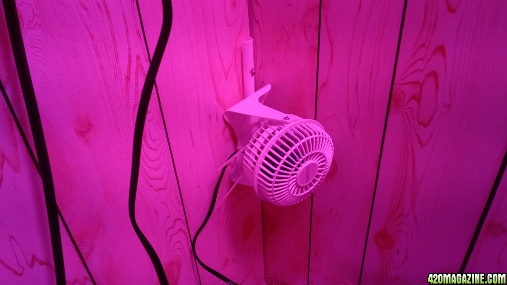 Veg Room Fan - Mounted