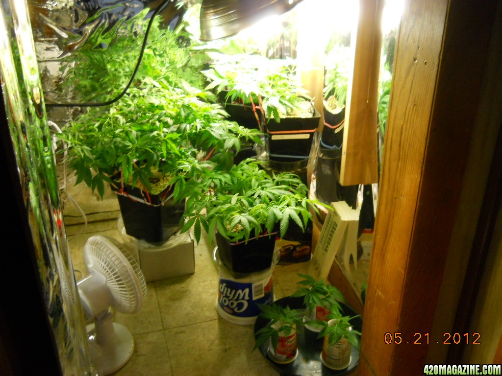 Veg room - group shot