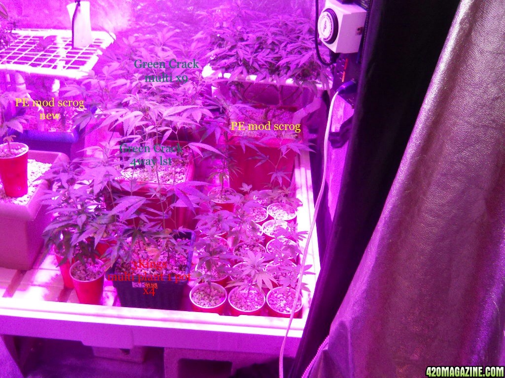 Veg room