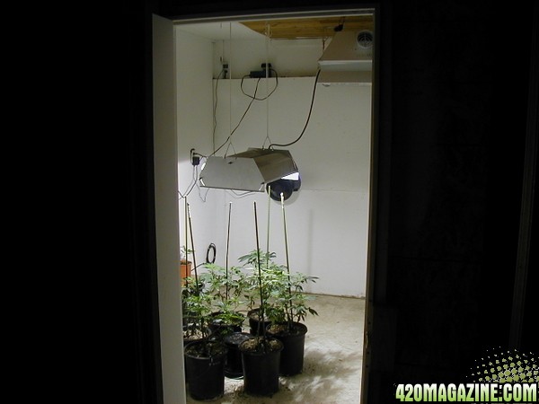 VEG ROOM