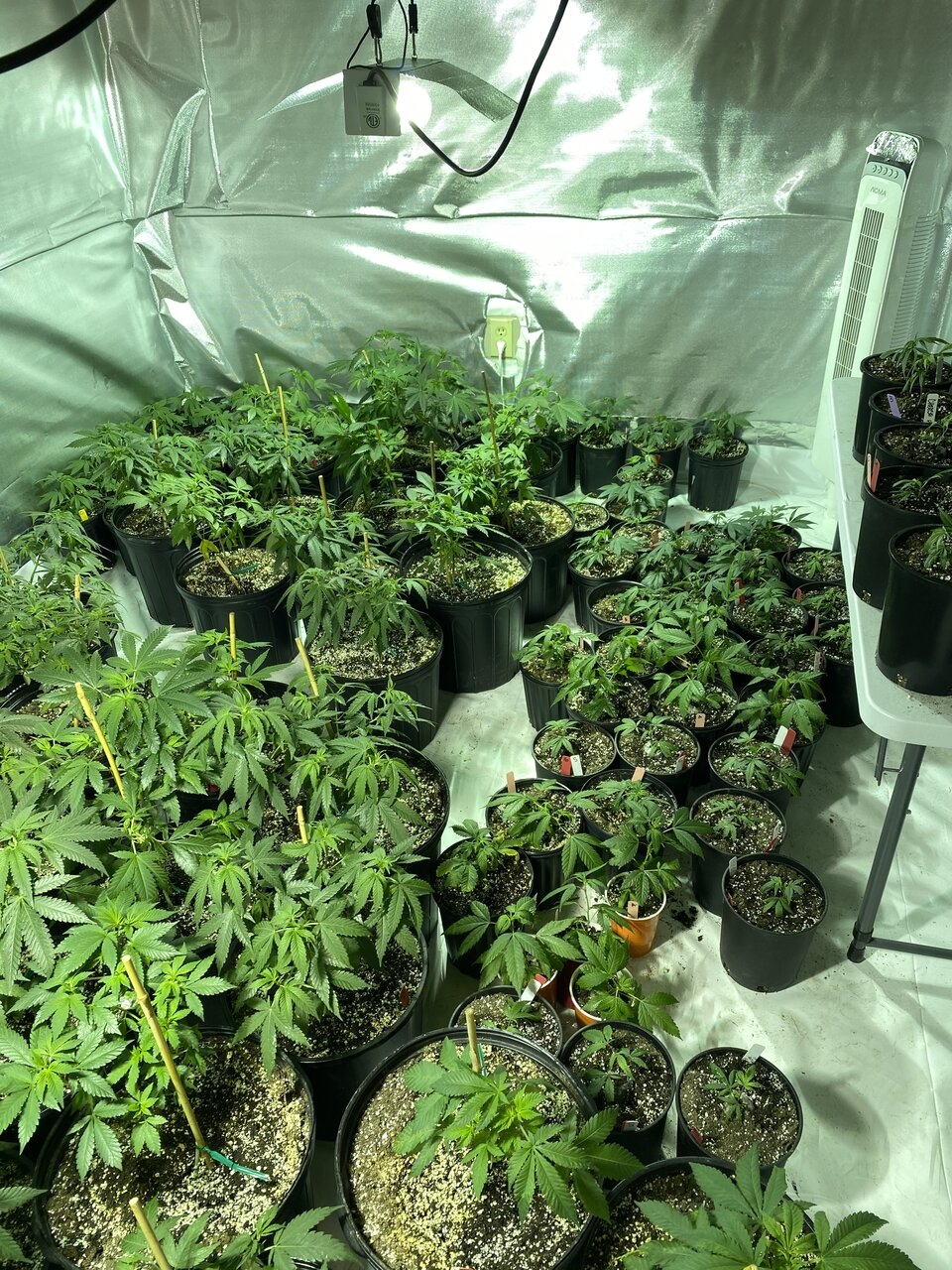 Veg Room