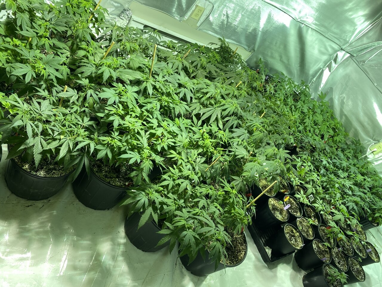 veg room