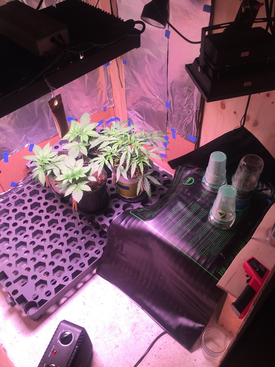 Veg Room