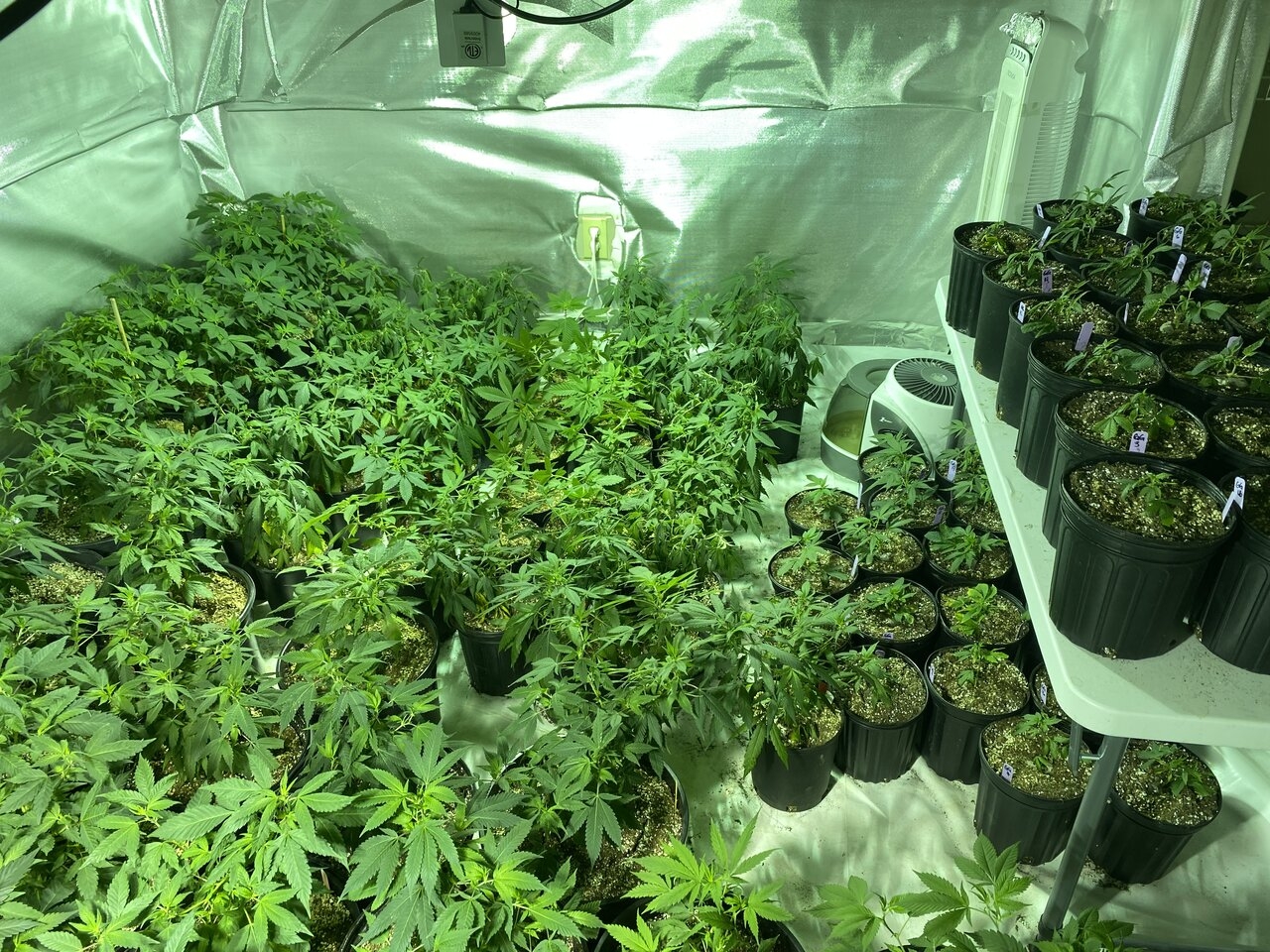 Veg Room